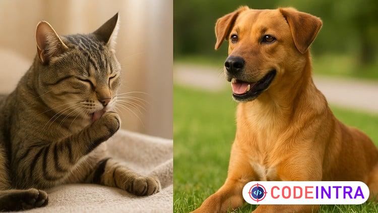 Dog & Cat Care Masterclass: Health, Behavior & Emergency Car course preview