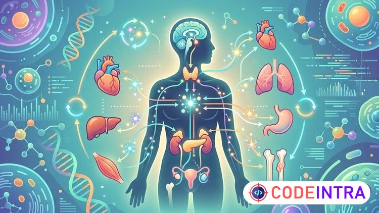 Endocrine System Practice Tests: Hormones & Glands Exam Prep preview