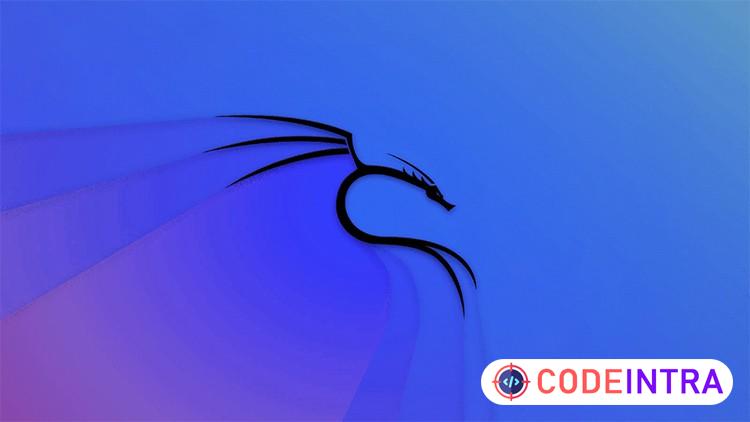 Ethical Hacking: Metasploit, NMAP, Kali, Python 3 y más course preview