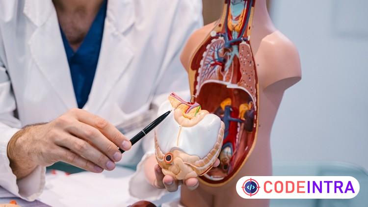 Human Physiology for Medical Coding, Billing & Healthcare preview