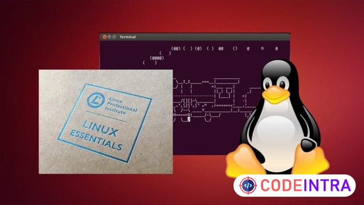 Linux с нуля до сертификата course preview