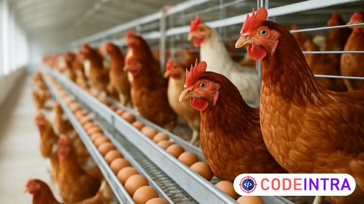 Layer Poultry Farming: Build a Profitable Egg Business course preview