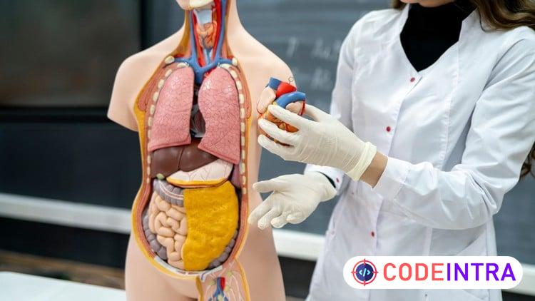 Medical Coding Part 2: CPT Coding & Medical Billing Basics preview
