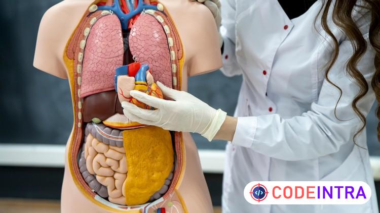 Medical Terminology for Medical Coding, Billing & Healthcare preview