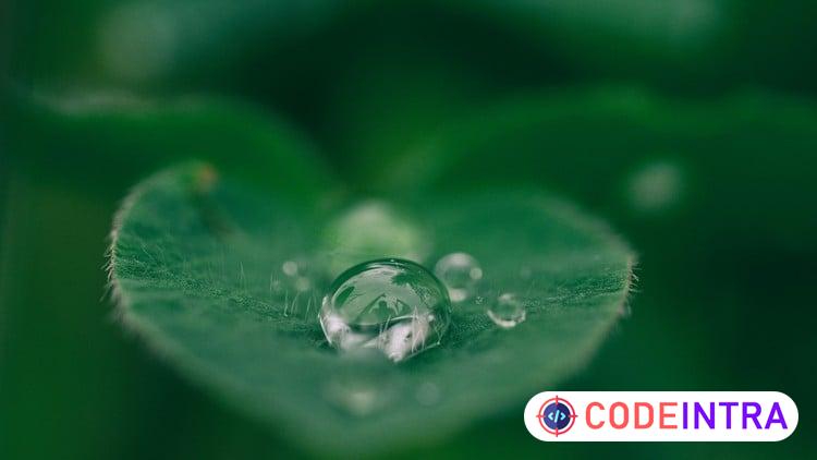 Mindfulness and Meditation Certification Training Course preview