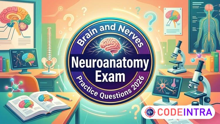 Neuroanatomy Practice Test 2026, The Brain and Nerves preview