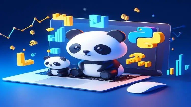Python Pandas Data Crash Course 2025 Learn by Doing. preview