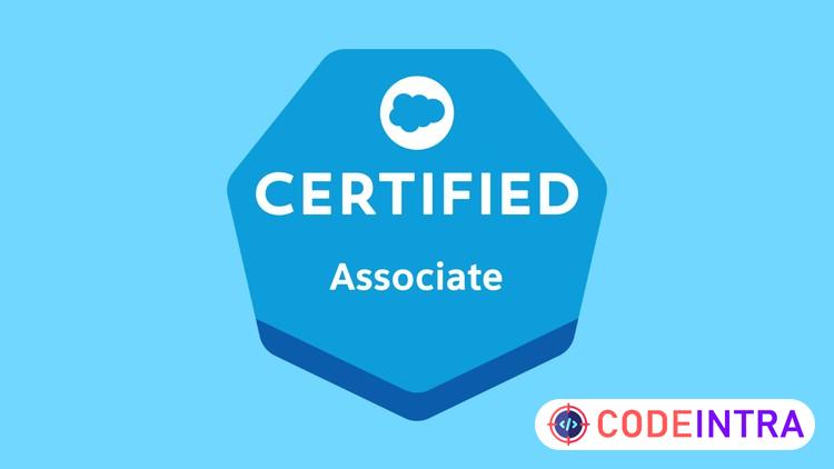 Salesforce Associate Certification Practice Exam course preview