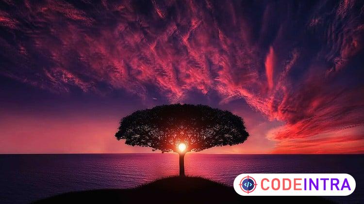 Complete Photography Masterclass: Beginner to Expert preview